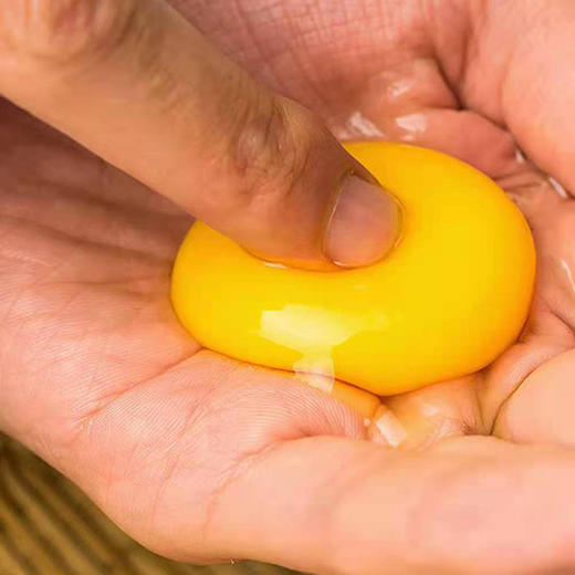 泊船山林下草鸡蛋 商品图1