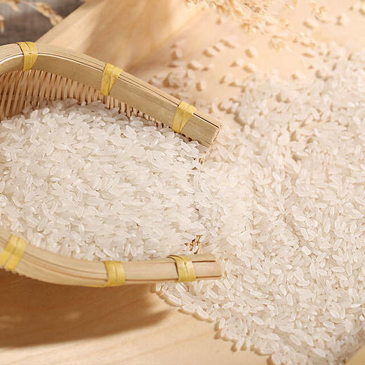 平浪 | 凯口野香优 稻花香生态新米 散装5斤/10斤 商品图0