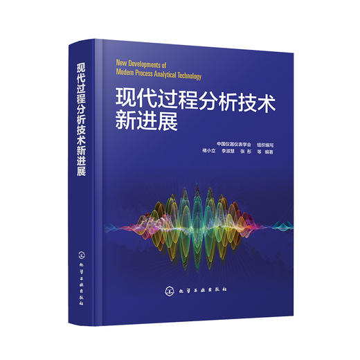 现代过程分析技术新进展 商品图0