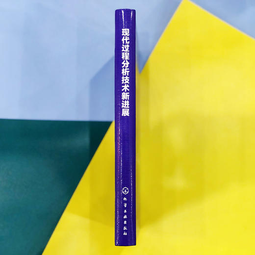 现代过程分析技术新进展 商品图2