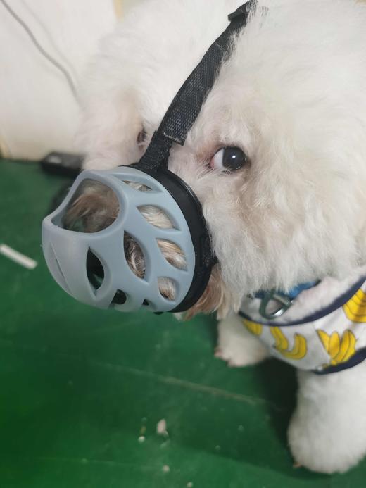 【超舒服软胶不伤鼻】狗狗嘴套透气防脱防咬防误食防乱叫！质量超nice！全场满80元包邮！（请看好详情再下单哟） 商品图6