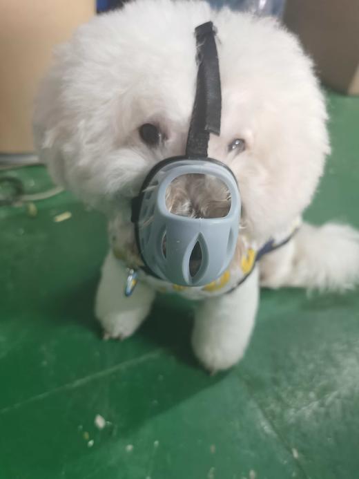 【超舒服软胶不伤鼻】狗狗嘴套透气防脱防咬防误食防乱叫！质量超nice！全场满80元包邮！（请看好详情再下单哟） 商品图5