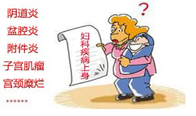 为什么妇科病一定要艾灸才能除根？看完恍然大悟！（视频）| 单桂敏 