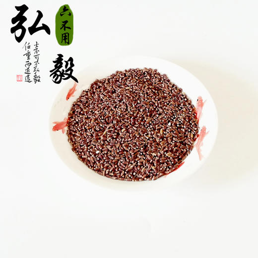 【弘毅六不用生态农场】六不用黑麦粥 黑麦粥片  黑麦仁 商品图2