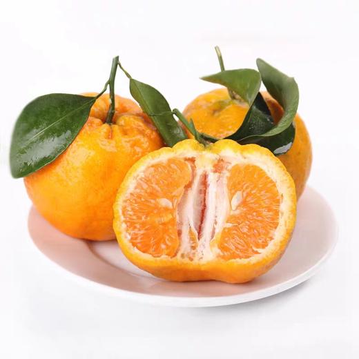 长阳清江椪柑 商品图0