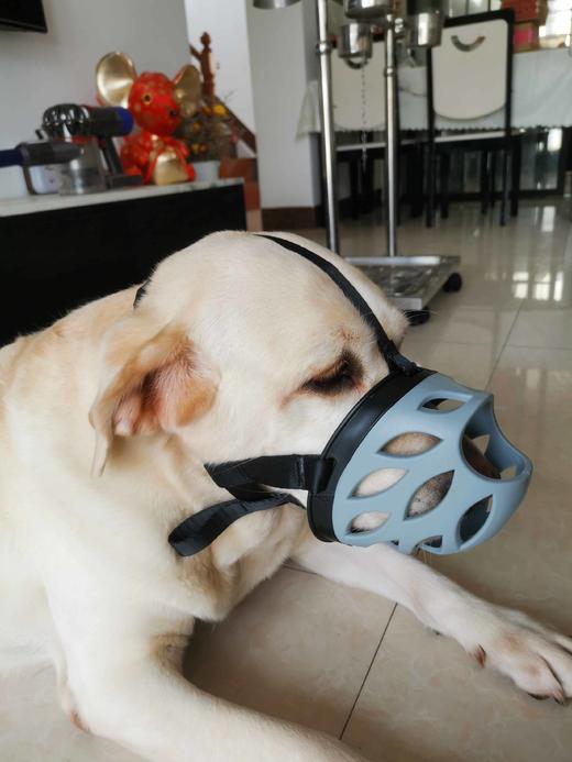 【超舒服软胶不伤鼻】狗狗嘴套透气防脱防咬防误食防乱叫！质量超nice！全场满80元包邮！（请看好详情再下单哟） 商品图3