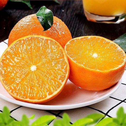 无酸度甜橙 珍珠手掰橙3袋/箱(11枚/袋) 约5500g 商品图6