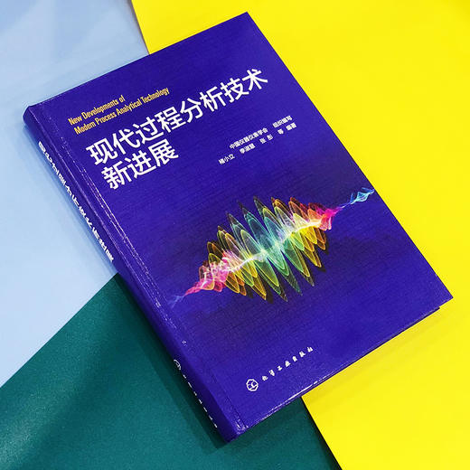 现代过程分析技术新进展 商品图3
