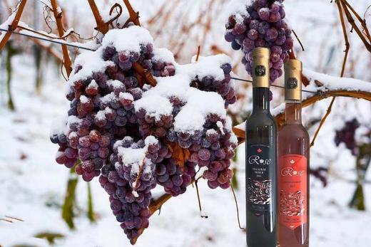 柔丝雨品牌 加拿大原装进口2015白冰酒（国内现货）（跨境） 商品图5