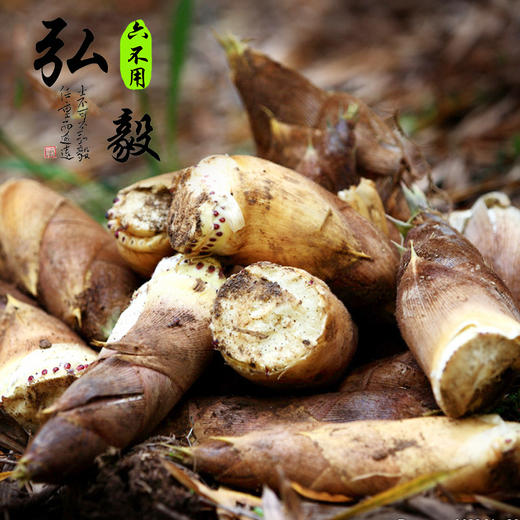 【弘毅六不用生态农场】“六不用”竹笋 笋丝600g/份 商品图4
