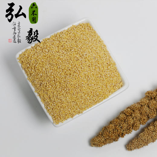 【弘毅六不用生态农场】六不用 小米 商品图1