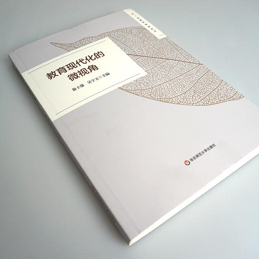 教育现代化的微视角 长三角教育科研丛书 2020年长三角城市群“创新视角下的教育现代化”征文活动获奖作品 华东师范大学出版社 商品图1