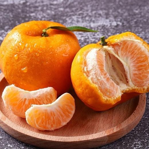 长阳清江椪柑 商品图2