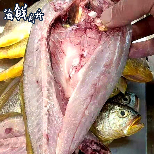 【干货】古法淡晒 野生黄鱼鲞 400g/条 商品图3
