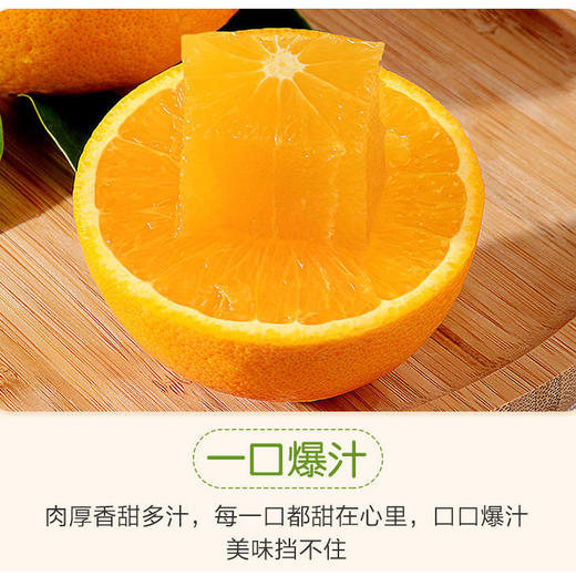 无酸度甜橙 珍珠手掰橙3袋/箱(11枚/袋) 约5500g 商品图5