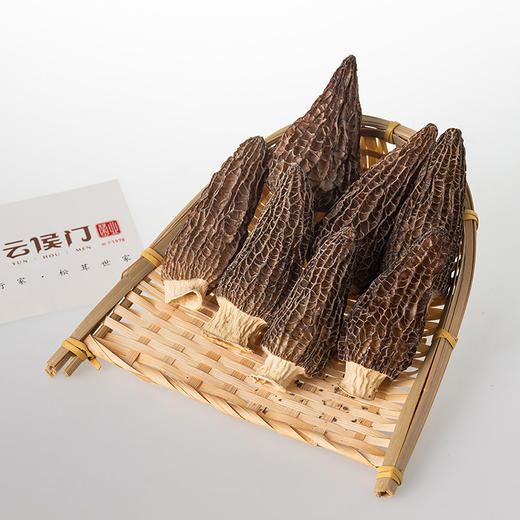 【云南特产】丽江 干羊肚菌4cm-6cm 40g【包邮】 商品图3