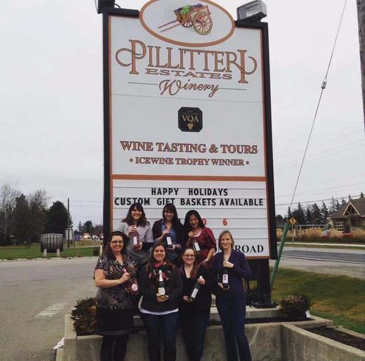 加拿大原装进口柔丝雨2014晚收白冰酒（国内现货）（跨境） 商品图3