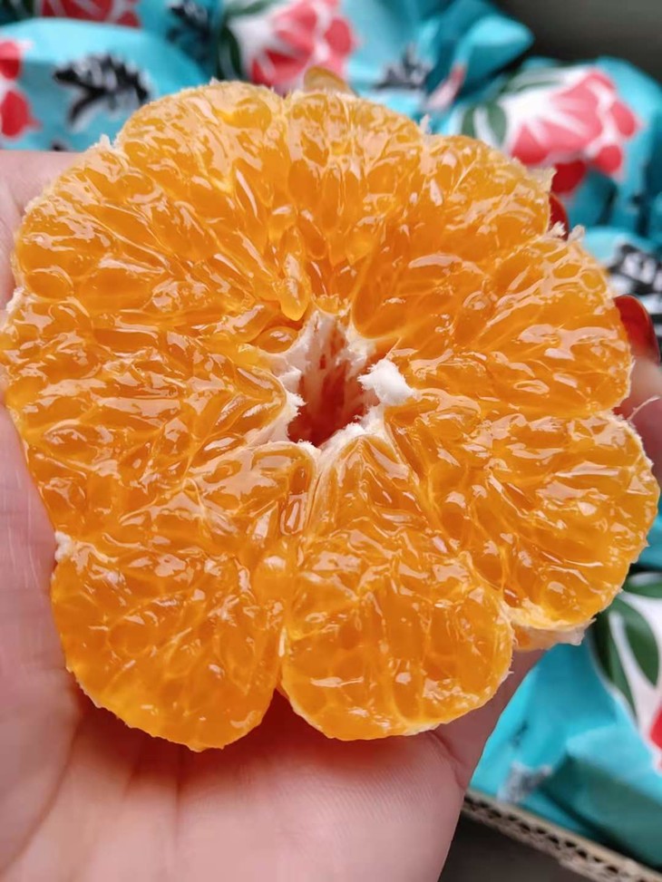 耙耙柑】口感细腻化渣,鲜嫩汁多,酸甜可口, 取一瓣放入口中, 果汁充足