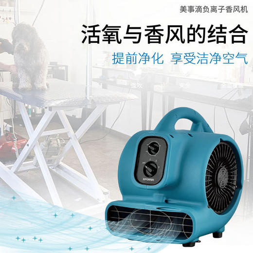 美事滴XPOWER香风机P-250NT负离子除异味净化空气流通烘干 商品图1
