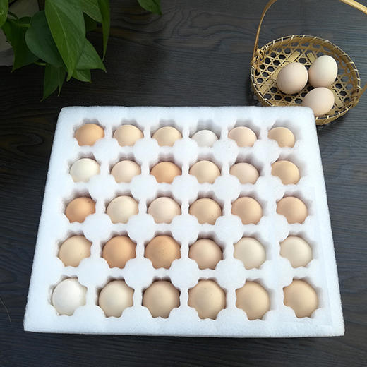 泊船山林下草鸡蛋 商品图4