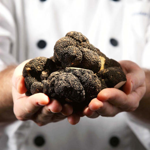 【云南特产】野生 黑松露菌干片 2cm-5cm 50克【包邮】 商品图3