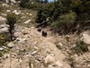 弘毅六不用生态农场沂蒙黑山猪3斤/份默认顺丰其它快递联系客服 商品缩略图3