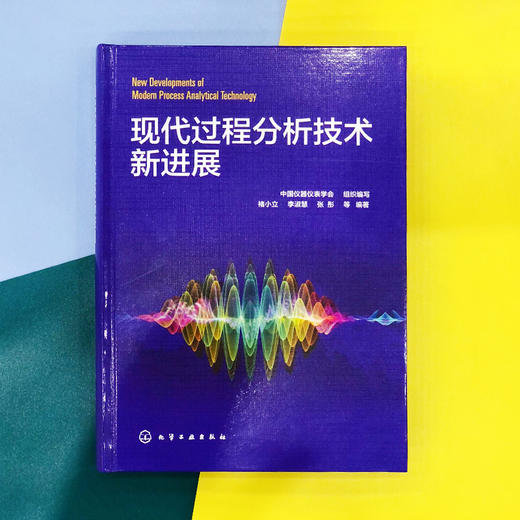 现代过程分析技术新进展 商品图1