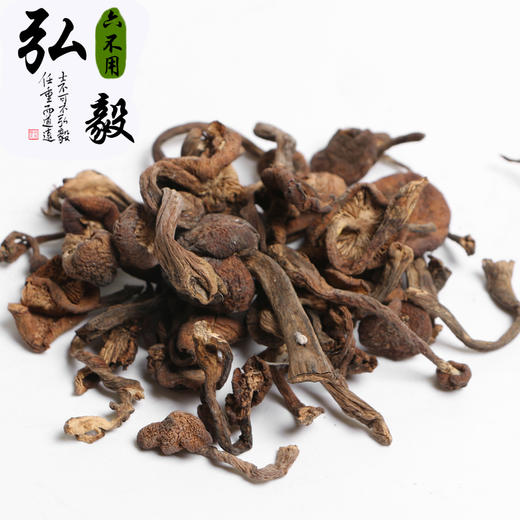 【弘毅六不用生态农场】六不用 榛菇 榛蘑  250g/份 商品图0