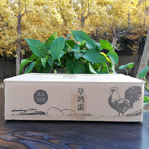 泊船山林下草鸡蛋 商品图5