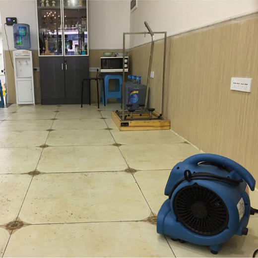 美事滴XPOWER香风机P-250NT负离子除异味净化空气流通烘干 商品图3