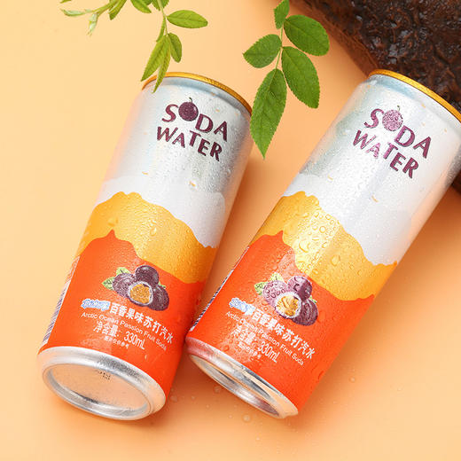 【整箱24听】北冰洋百香果味汽水330ml*24听 商品图3