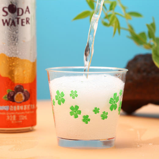 【整箱24听】北冰洋百香果味汽水330ml*24听 商品图2