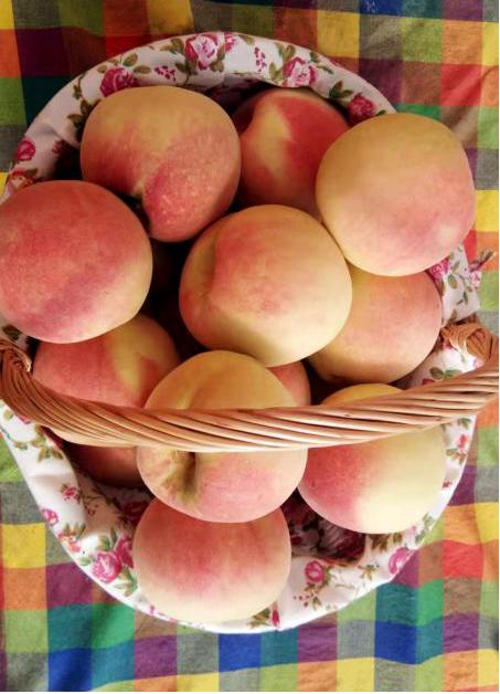 有机酵素冬雪绯蜜桃 甘甜多汁 清脆芳香 商品图2