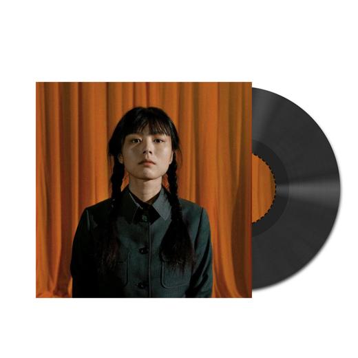 海朋森 - 《成长小说》黑胶 商品图0