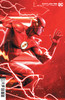 变体 闪电侠 Flash 750-771 商品缩略图10