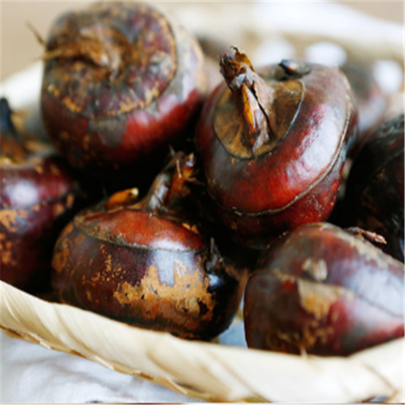 丨生态丨新鲜荸荠（马蹄） 茨菇 莲藕 可以单买，可以混搭 水八仙基地