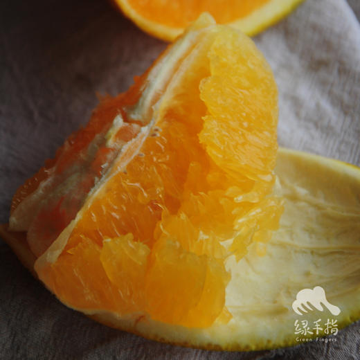 生态建阳脐橙 | 合作生产 *Eco-Jianyang navel orange | Coproduction 商品图0