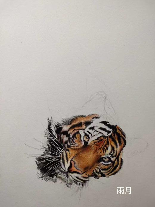 最新款180色油性 商品图7