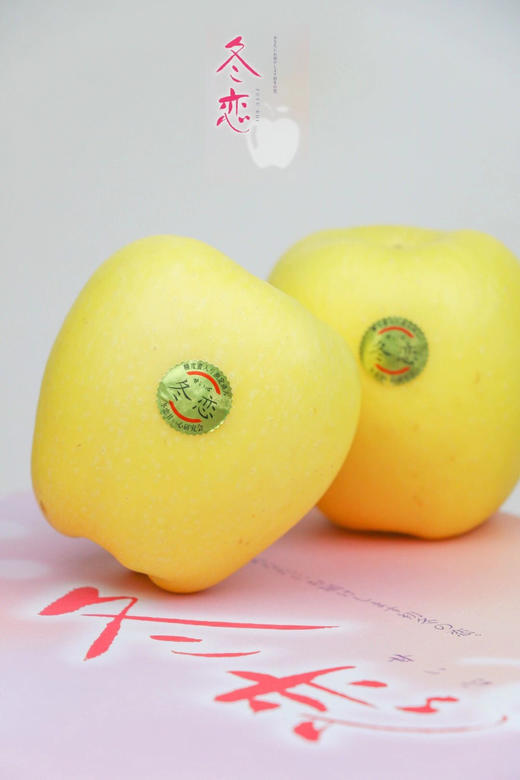 「蜜极物语冬恋苹果」# 全球十大苹果之一#,日本品种引进国内种植.