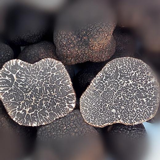鲜野生黑松露 ｜合作生产｜基地直发*Fresh black truffle 商品图1