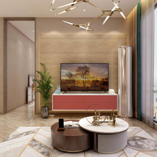 新新饰家电视柜 商品图0