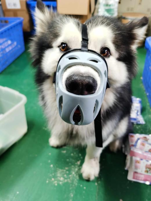 【超舒服软胶不伤鼻】狗狗嘴套透气防脱防咬防误食防乱叫！质量超nice！全场满80元包邮！（请看好详情再下单哟） 商品图7