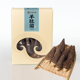 【云南特产】丽江 干羊肚菌4cm-6cm 40g【包邮】