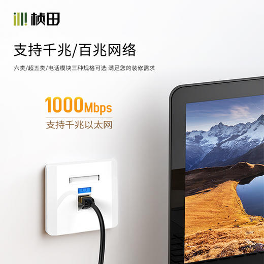 非屏蔽免打镀金模块超五类六类 3μ31105/31106/31103 商品图1