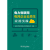 电力物联网电网企业云原生应用实践 商品缩略图1