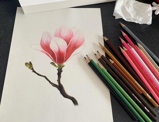 油性彩铅 商品图13