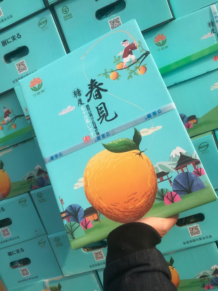 四川春见耙耙柑丑橘(45kg总重礼盒装)