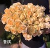 爱必达香槟 商品缩略图0