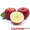 【珠三角包邮】农匠 冰糖心红富士苹果  8.5-9斤/箱（1月16日到货） 商品缩略图0