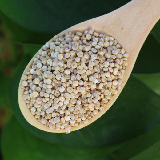 【山区杂粮】密农人家  藜麦米  营养全面  适合宝宝辅食 400g 商品图1